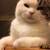 Profile picture small