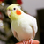 Profile picture small