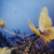 Profile picture small