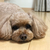 Profile picture small