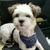 Profile picture small