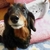 Profile picture small