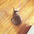 Profile picture small