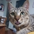 Profile picture small