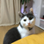 Profile picture small