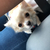 Profile picture small