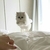 Profile picture small