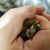 Profile picture small