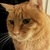 Profile picture small