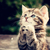 Profile picture small
