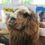 Profile picture small