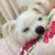 Profile picture small