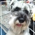 Profile picture small