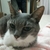 Profile picture small