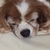 Profile picture small