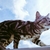 Profile picture small