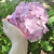 Profile picture small