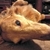 Profile picture small