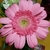 Profile picture small
