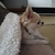 Profile picture small