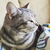 Profile picture small