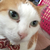 Profile picture small
