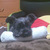 Profile picture small