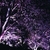 Profile picture small