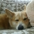 Profile picture small