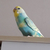 Profile picture small