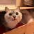 Profile picture small