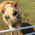 Profile picture small