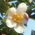 Profile picture small