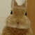 Profile picture small