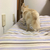 Profile picture small