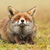 Profile picture small