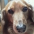Profile picture small