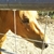 Profile picture small