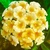 Profile picture small