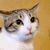 Profile picture small