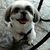 Profile picture small