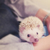 Profile picture small
