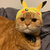 Profile picture small