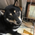 Profile picture small