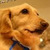 Profile picture small