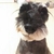 Profile picture small
