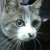 Profile picture small