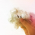Profile picture small