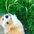 Profile picture small
