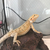 Profile picture small